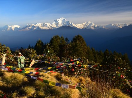 Annapurna Base Camp and Poon Hill Hike: Complete Trek Guide