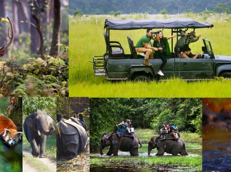 Responsible Wildlife Tourism in Nepal