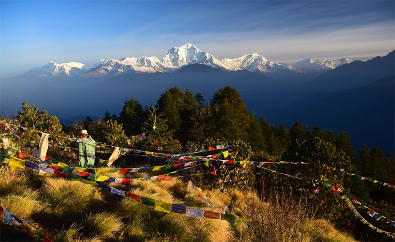 Annapurna Base Camp and Poon Hill Hike: Complete Trek Guide