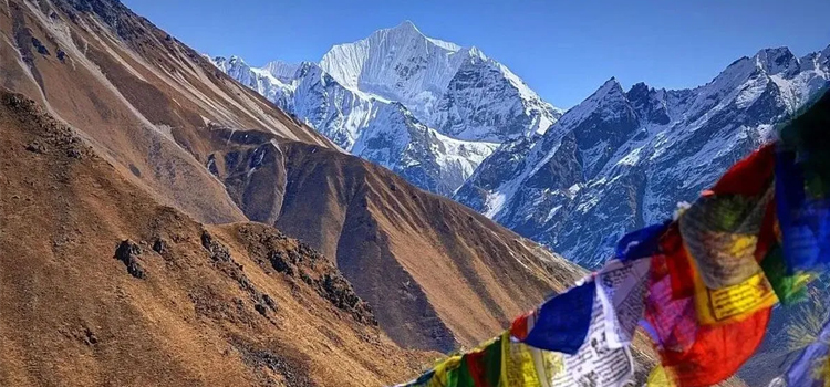 Margarita Macias Roberts