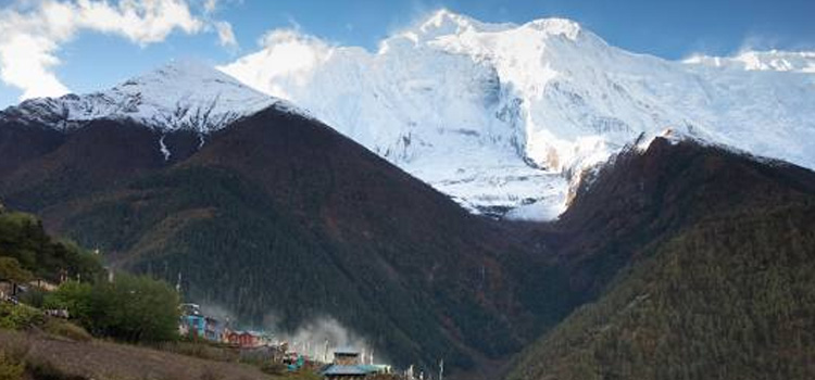 Alex & Priya, USA/India