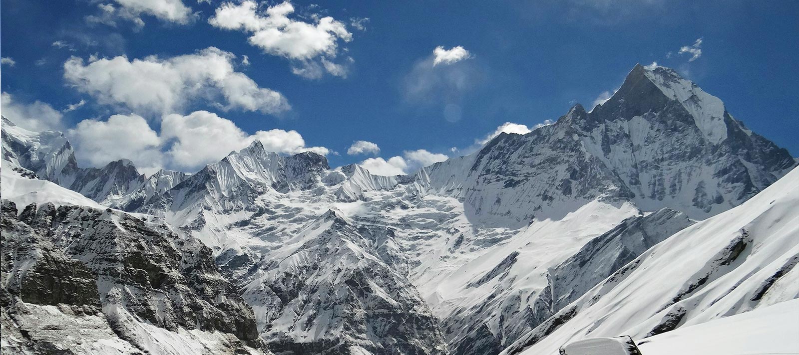 Mr. Carlos Fernandez