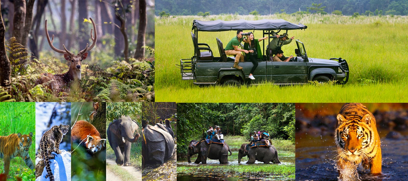 Responsible Wildlife Tourism in Nepal