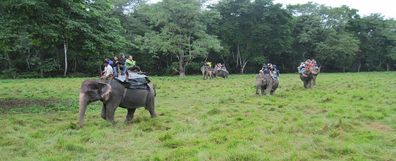 Nepal Experience-Sikles Trek